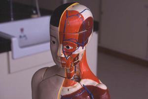 柔道整復師に腰痛を治してもらえる接骨院