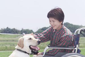 白内障治療は薬物を使う方法と手術がある