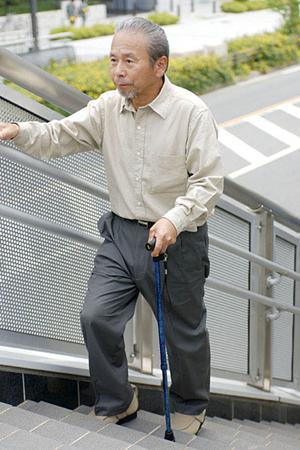 蒲田エリアで選ぶべき歯科クリニック2025年最新ガイド